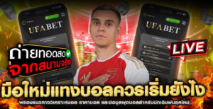 มือใหม่แทงบอล