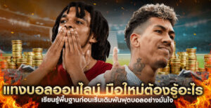 แทงบอลออนไลน์มือใหม่