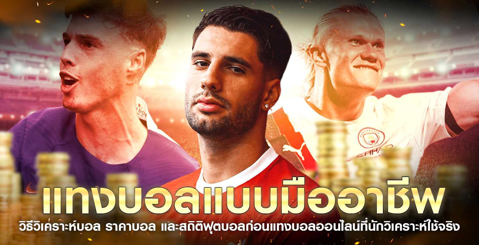 professional analysis