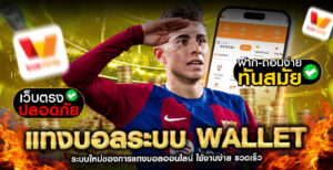 แทงบอลระบบ-wallet